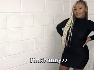 Pinkbunny22