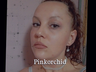 Pinkorchid