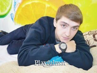 Playfulmat