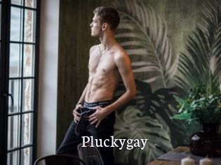 pluckygay Gratis xxx Clips