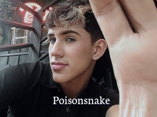 Poisonsnake