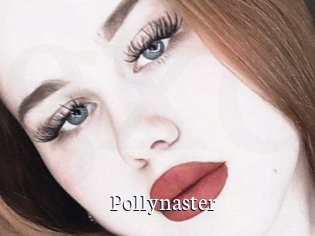 Pollynaster