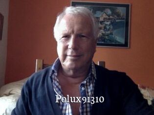 Polux91310
