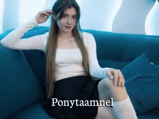 Ponytaamnel