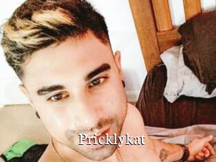 Pricklykat