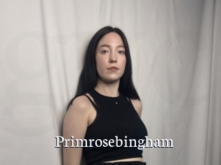 Primrosebingham