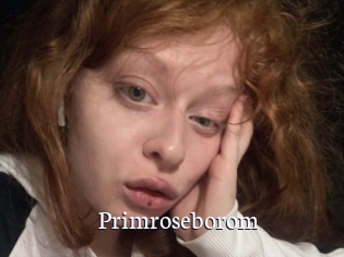 Primroseborom