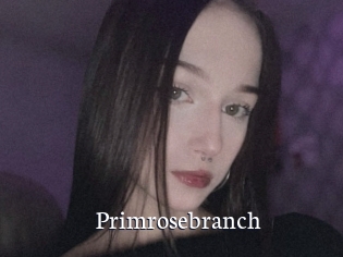 Primrosebranch