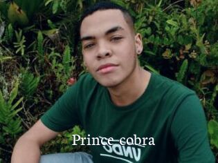 Prince_cobra