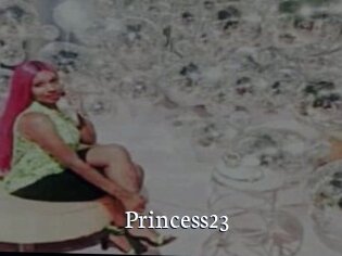 Princess23