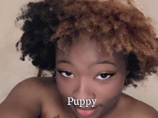 Puppy
