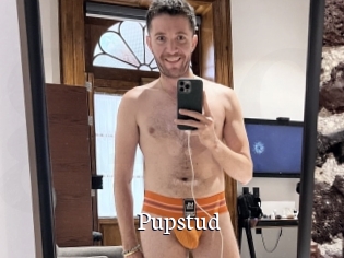 Pupstud