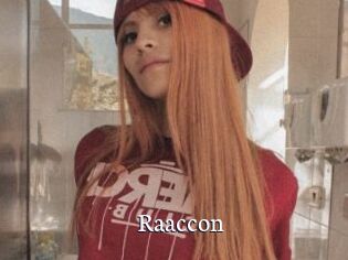 Raaccon