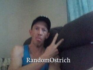 RandomOstrich Gratis xxx Clips