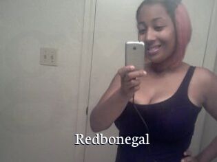 Redbonegal