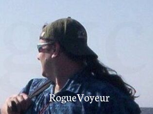 RogueVoyeur