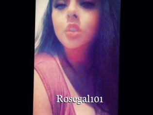 Rosegal101