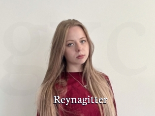 Reynagitter