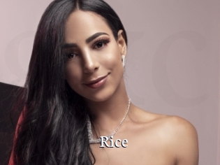 rice Gratis xxx Clips