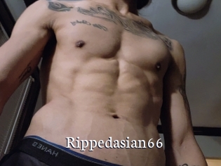 Rippedasian66
