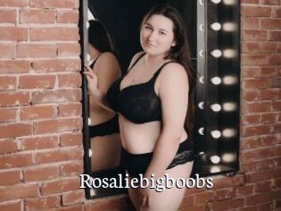 Rosaliebigboobs