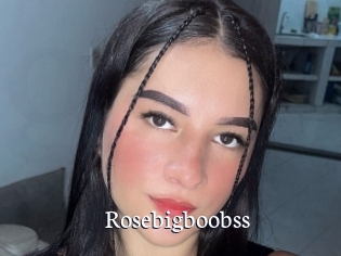 Rosebigboobss