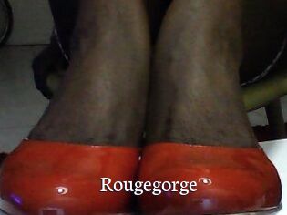 Rougegorge