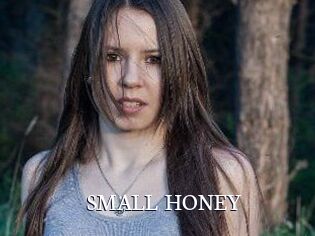SMALL_HONEY