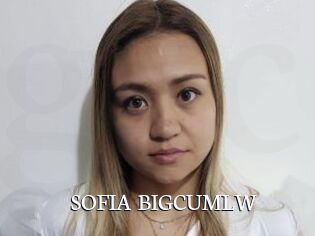 SOFIA_BIGCUMLW