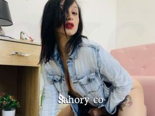 Sahory_co