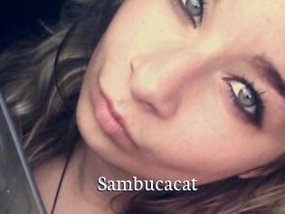 Sambucacat