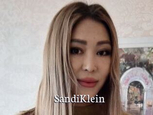 SandiKlein