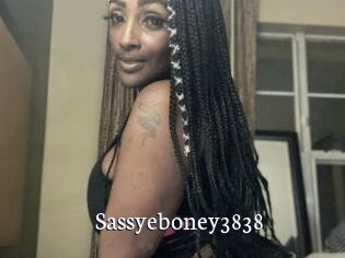 Sassyeboney3838