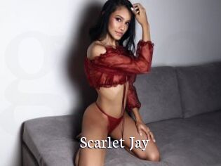 Scarlet_Jay