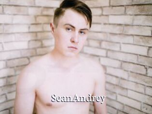 SeanAndrey