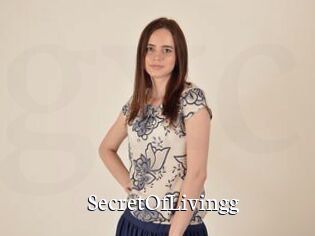 SecretOfLivingg