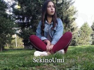 SekinoUmi