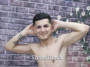ShaneBlack