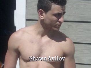 Shawn_Avilov