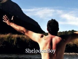 ShelodonBoy