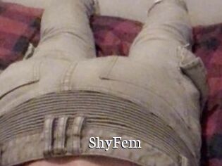 ShyFem