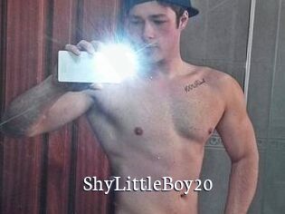 ShyLittleBoy20