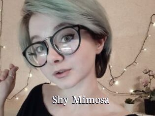 Shy_Mimosa