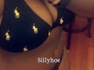 Sillyhoe