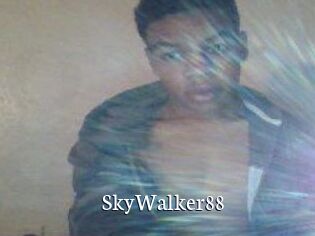 SkyWalker88