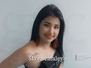 Slave_cataleya