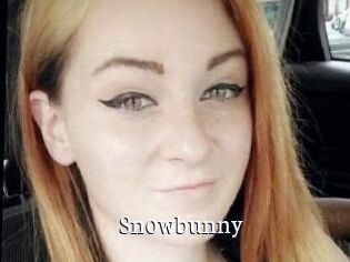 Sn0wbunny