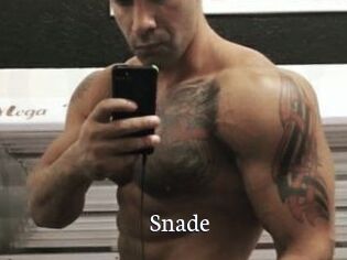 Snade