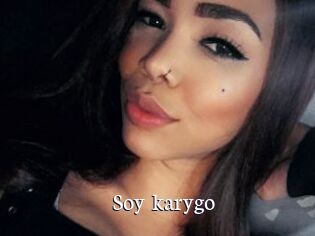 Soy_karygo