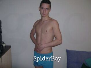 SpiderBoy